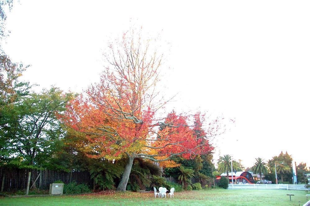 Fairy Springs Motel Rotorua Exterior foto